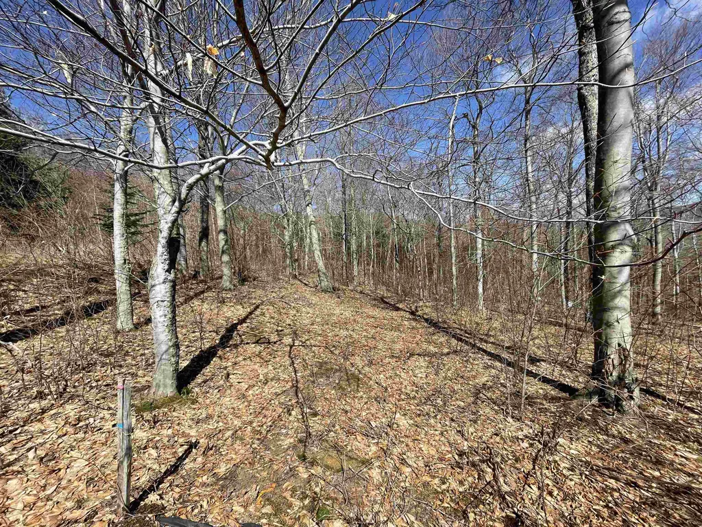 178 Colony Road Warren VT 05674