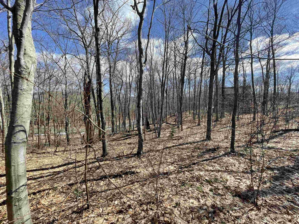 178 Colony Road Warren VT 05674