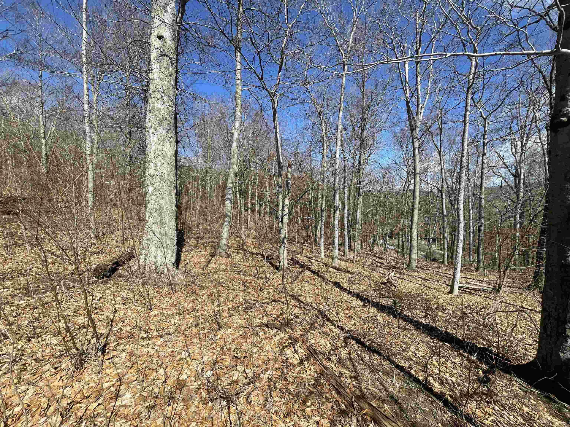 178 Colony Road Warren VT 05674