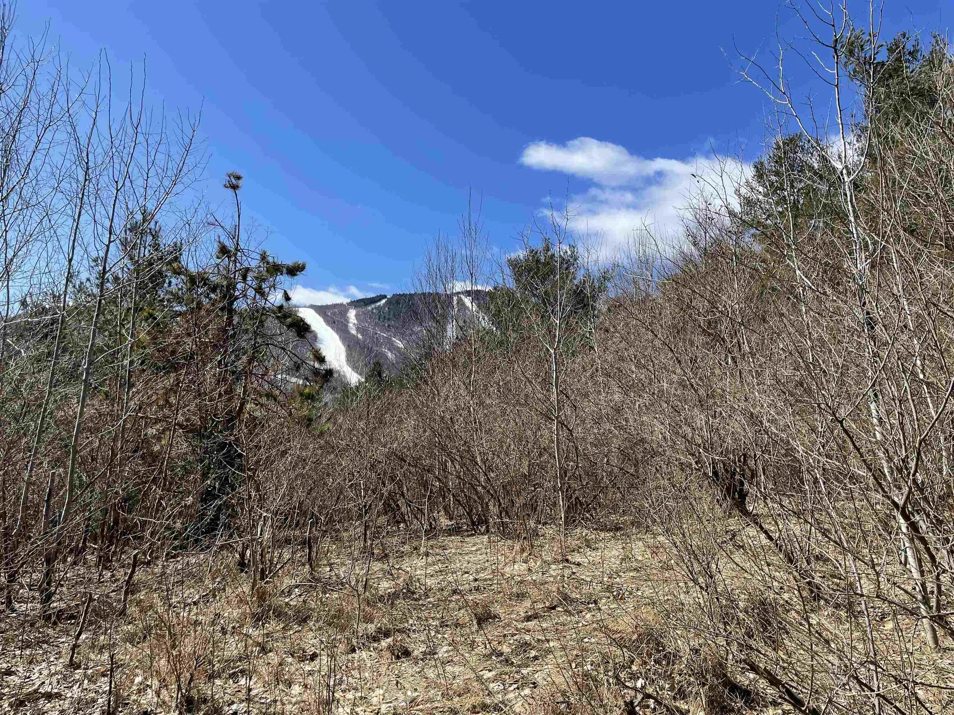 178 Colony Road Warren VT 05674