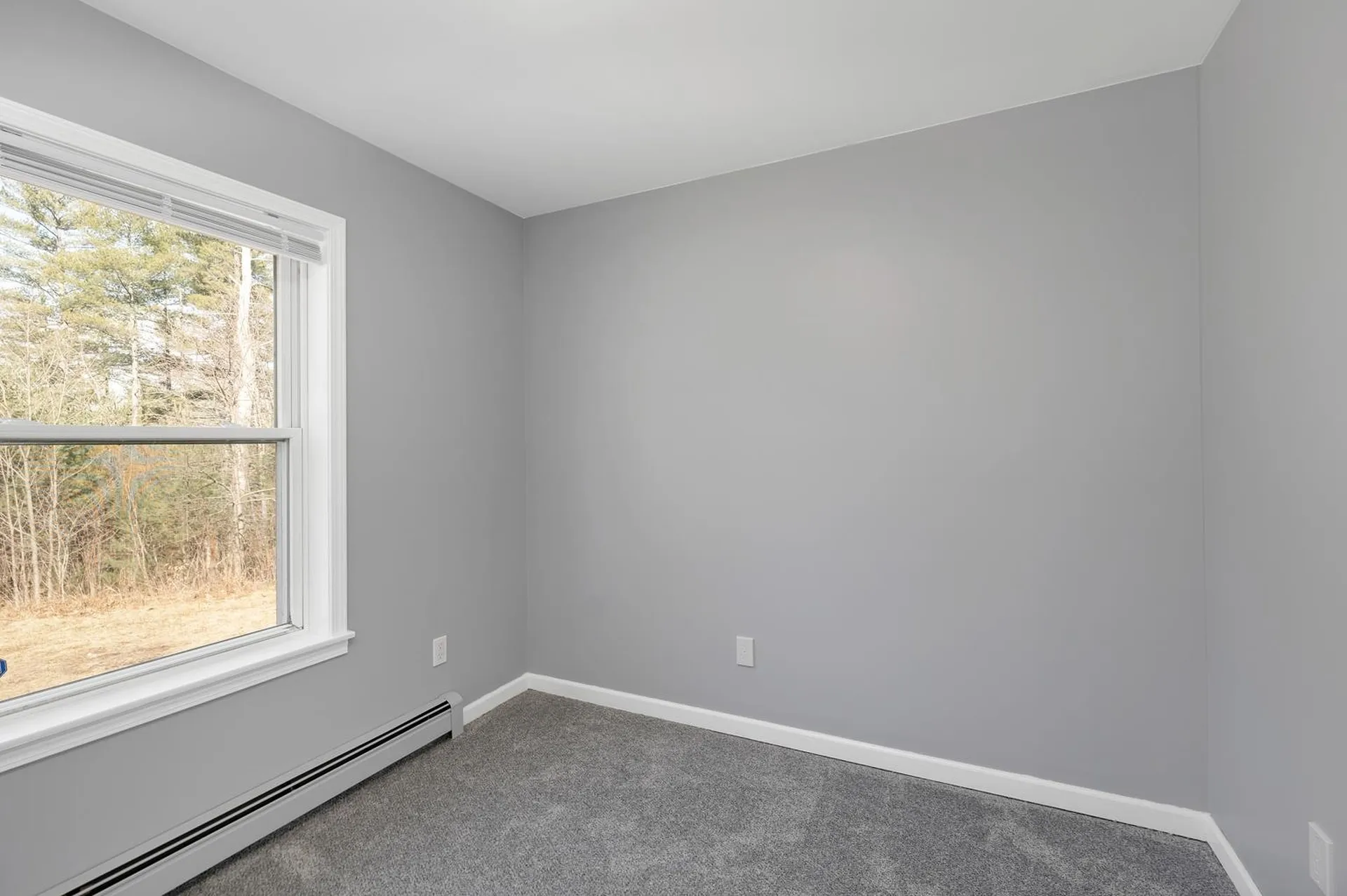 115 Weona Drive Freedom NH 03836