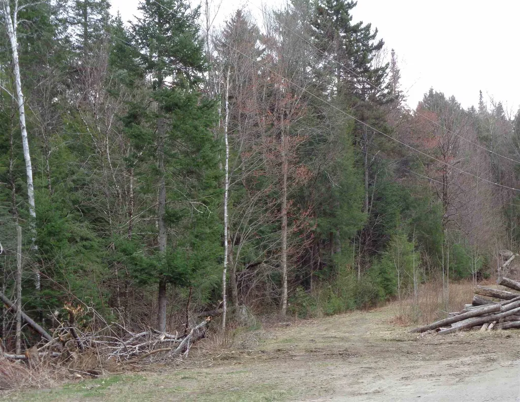 1161 Brook Road Corinth VT 05039