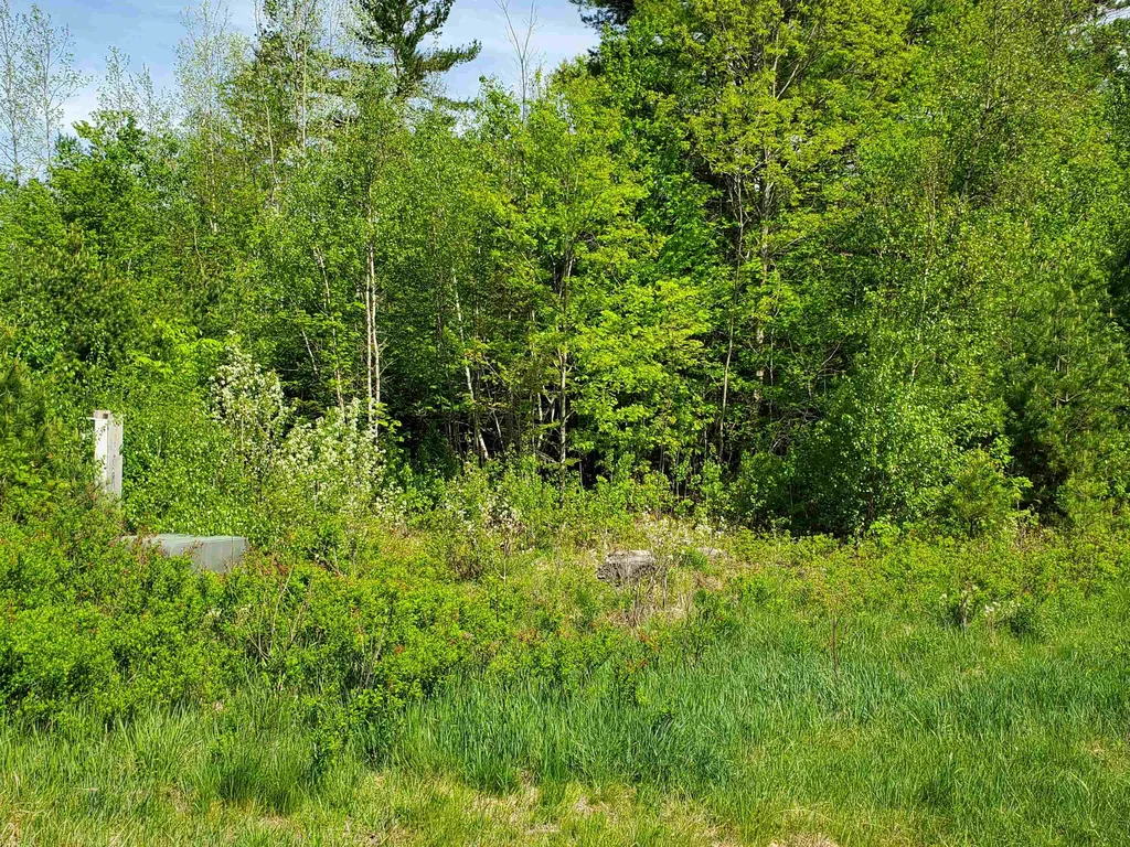 Lot 9 Strawbrook Lane Canaan NH 03741