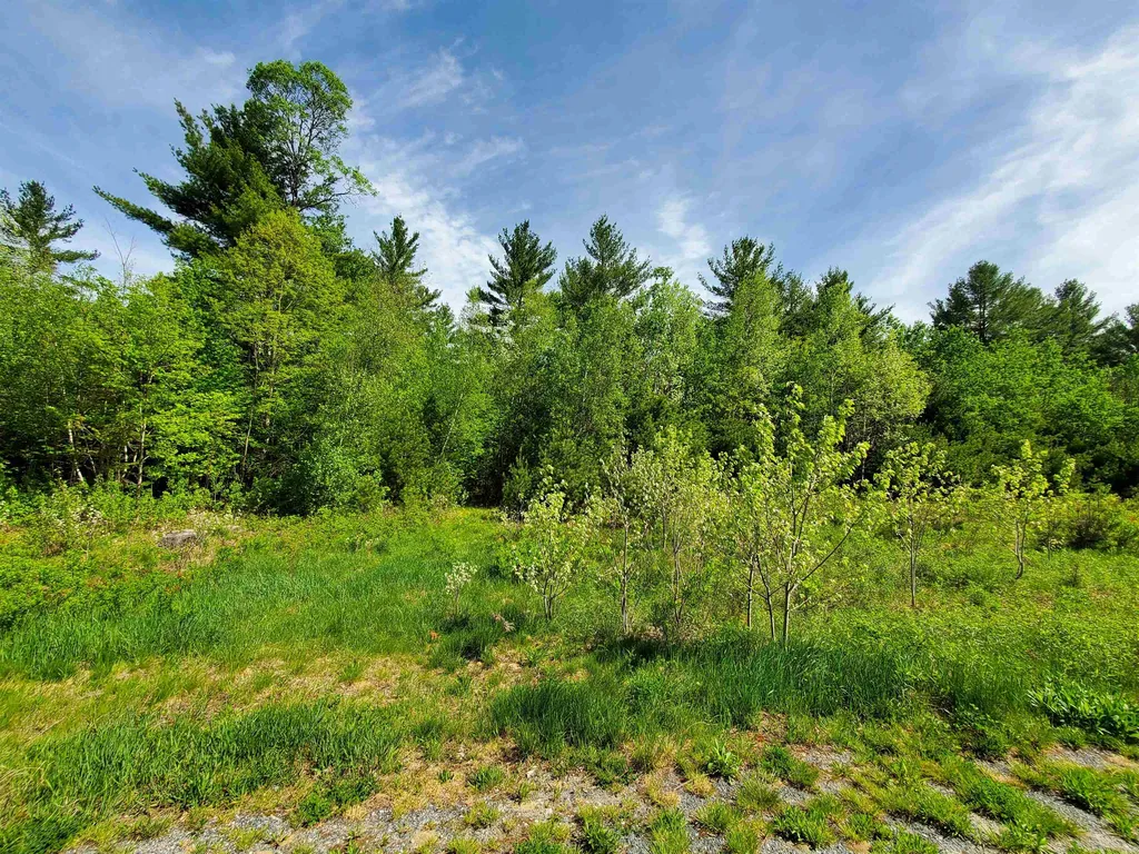 Lot 9 Strawbrook Lane Canaan NH 03741
