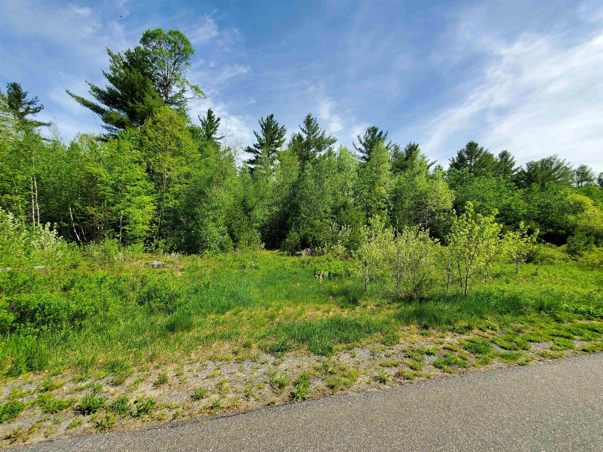Lot 9 Strawbrook Lane Canaan NH 03741