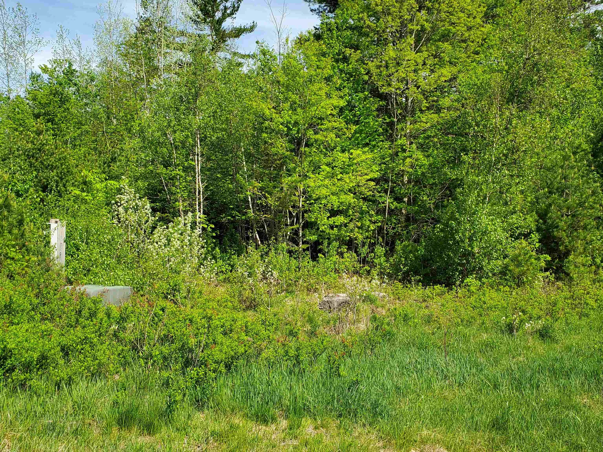 Lot 9 Strawbrook Lane Canaan NH 03741