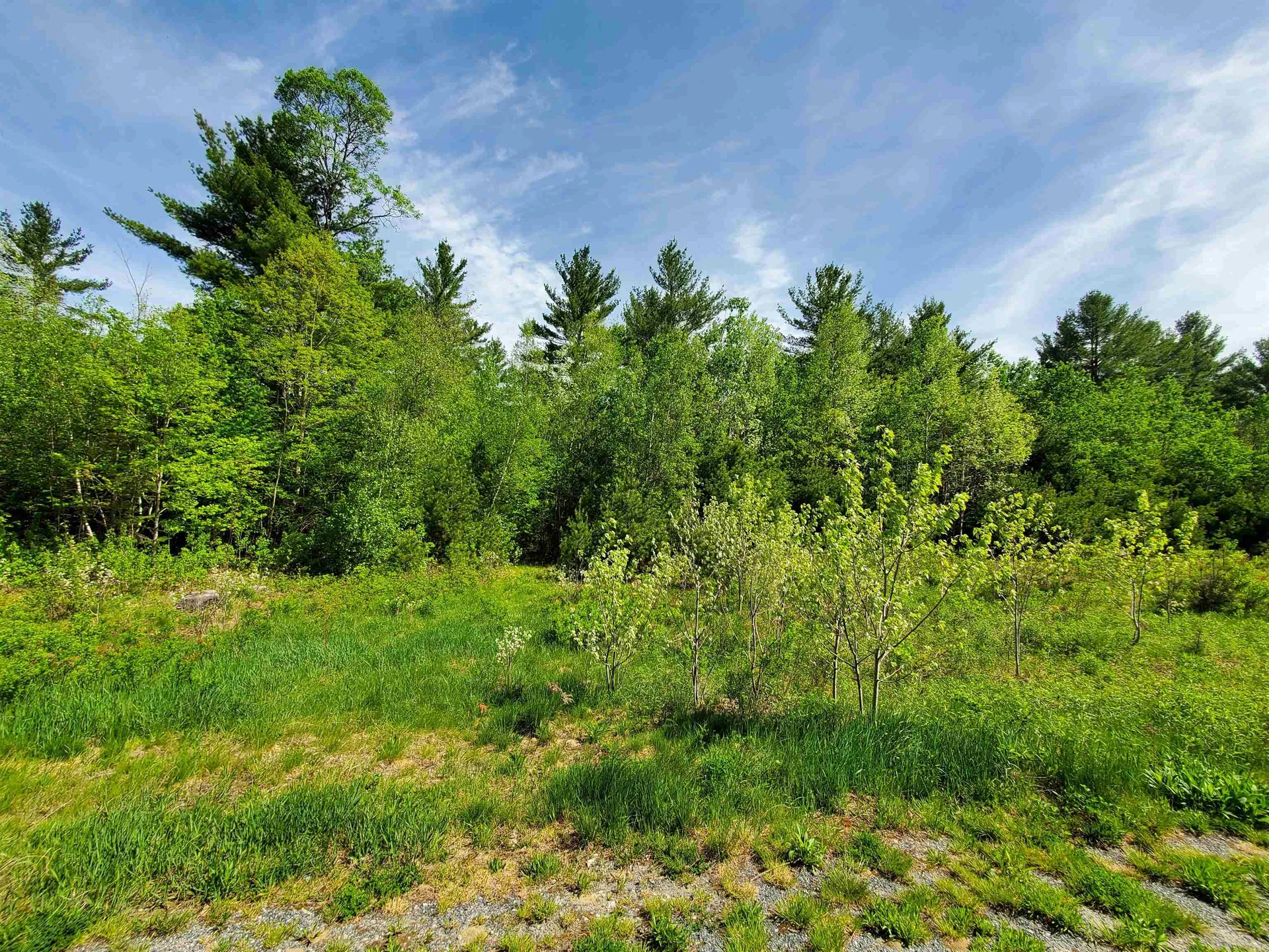 Lot 9 Strawbrook Lane Canaan NH 03741