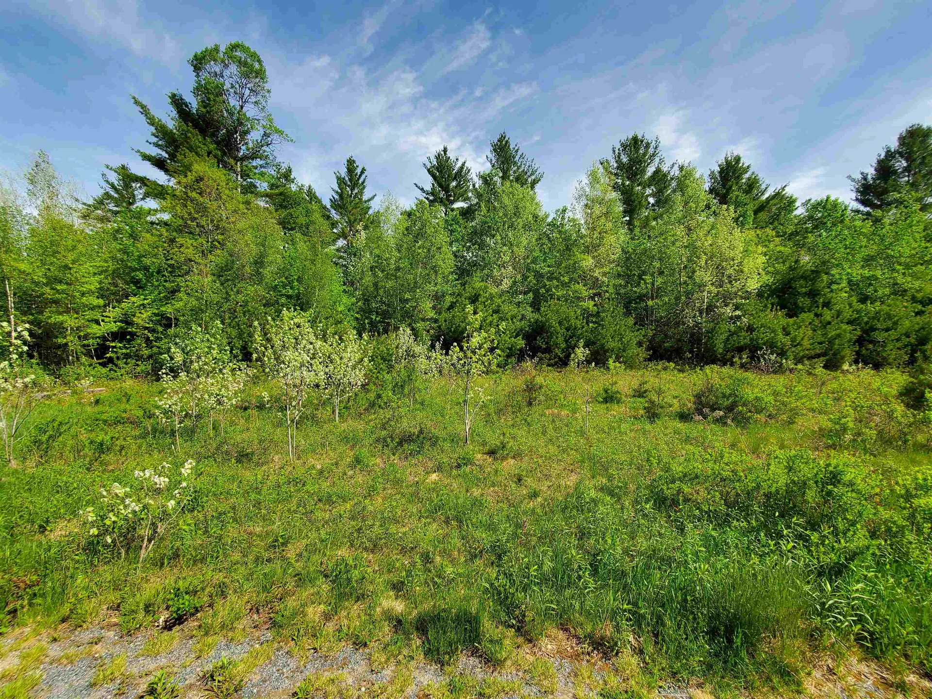 Lot 9 Strawbrook Lane Canaan NH 03741