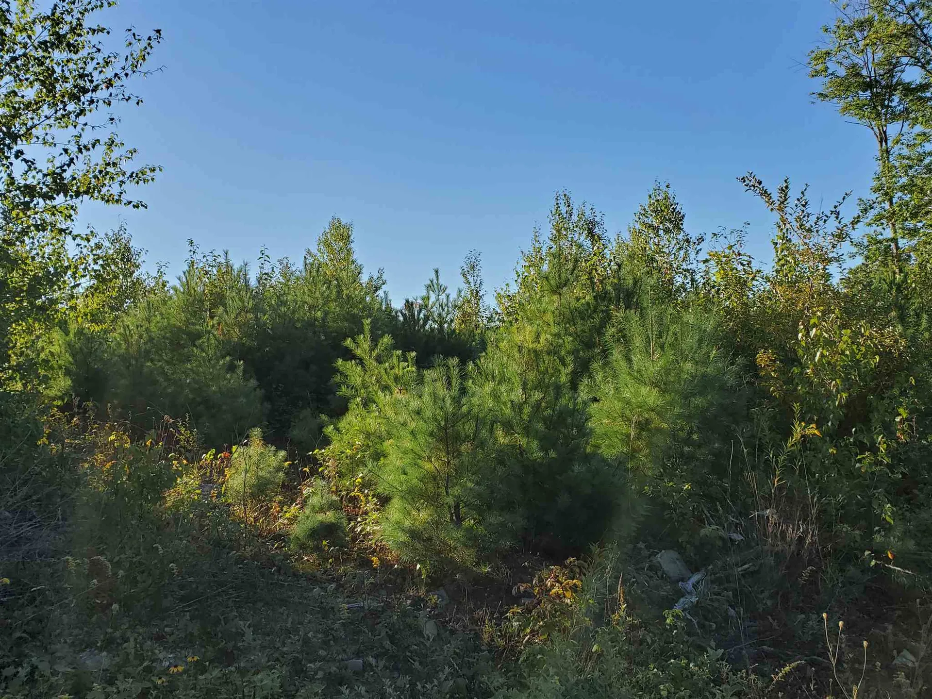 Lot 9 Strawbrook Lane Canaan NH 03741