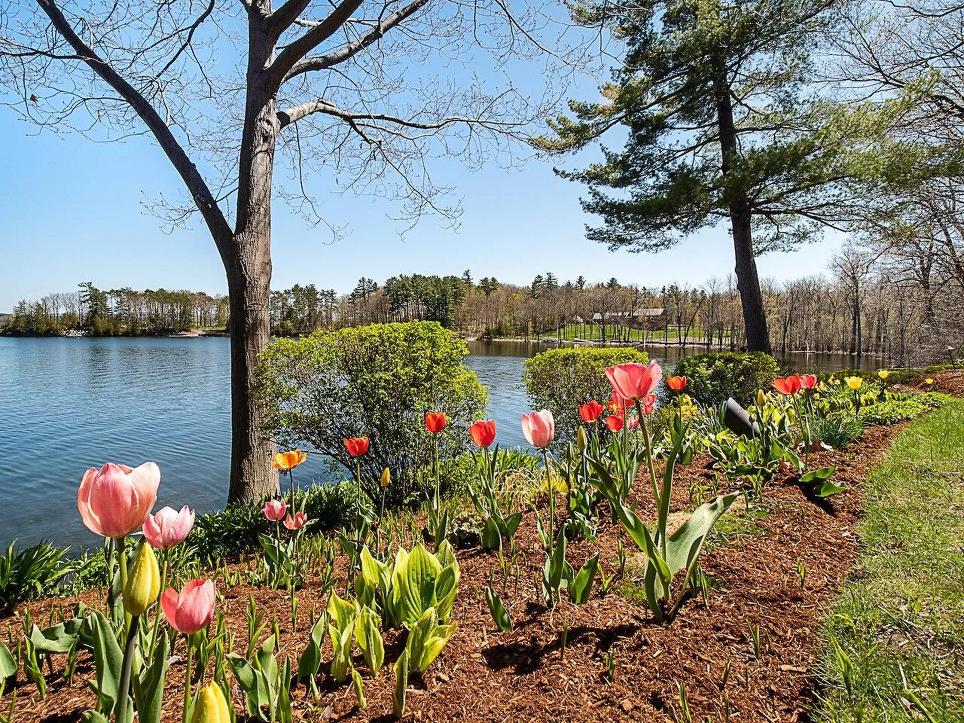 3414 Harbor Road Shelburne VT 05482