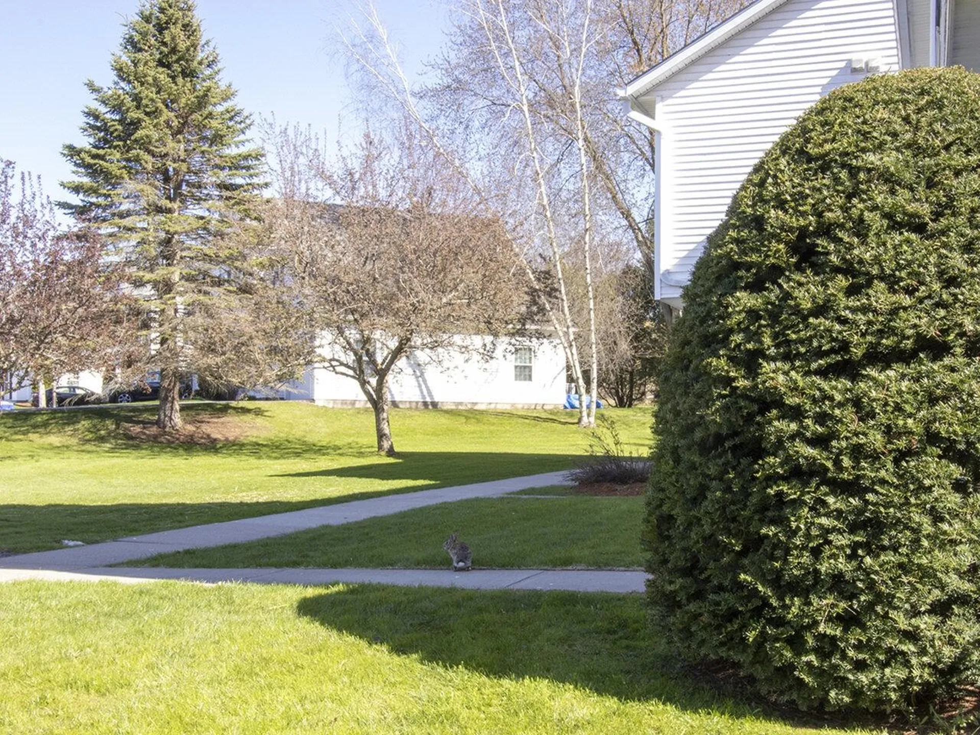 120 Southview Lane Williston VT 05495