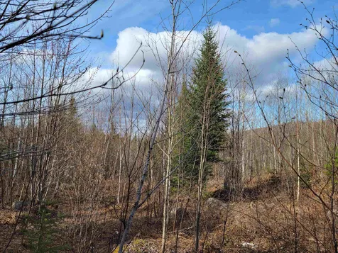 157 Hazen Drive Bethlehem NH 03574