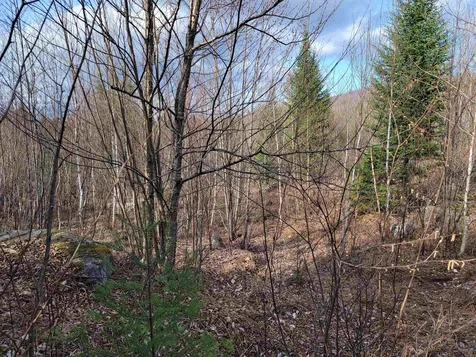 157 Hazen Drive Bethlehem NH 03574