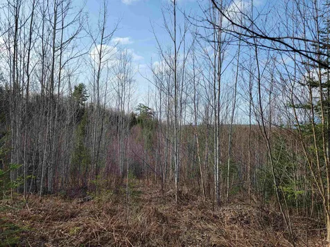 157 Hazen Drive Bethlehem NH 03574