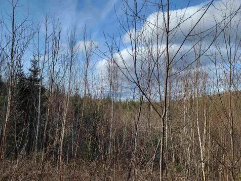 157 Hazen Drive Bethlehem NH 03574