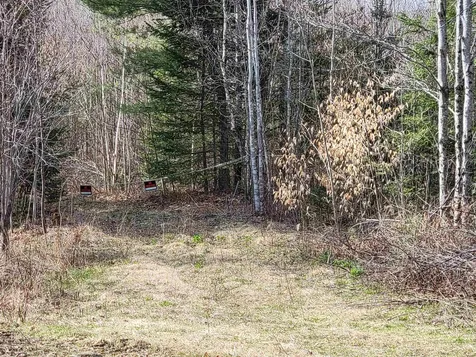 157 Hazen Drive Bethlehem NH 03574