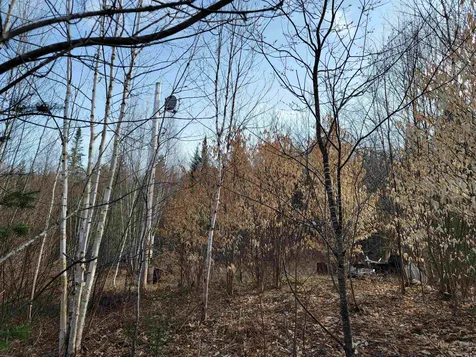 157 Hazen Drive Bethlehem NH 03574