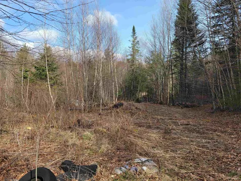 157 Hazen Drive Bethlehem NH 03574