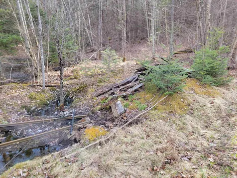 157 Hazen Drive Bethlehem NH 03574