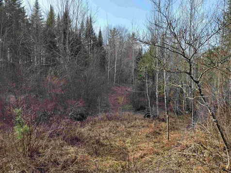 157 Hazen Drive Bethlehem NH 03574