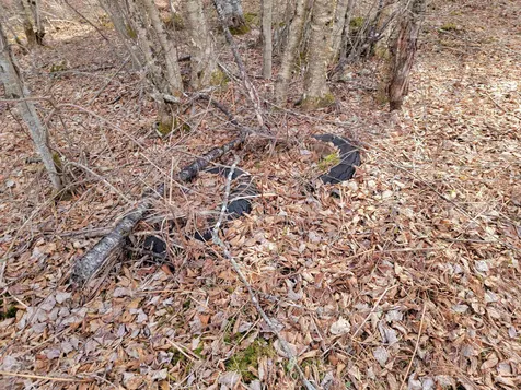 157 Hazen Drive Bethlehem NH 03574