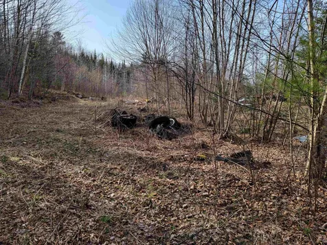 157 Hazen Drive Bethlehem NH 03574