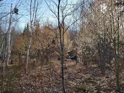 157 Hazen Drive Bethlehem NH 03574