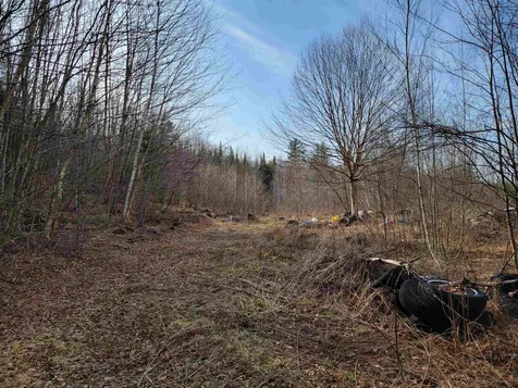157 Hazen Drive Bethlehem NH 03574