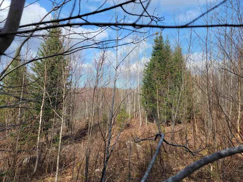 157 Hazen Drive Bethlehem NH 03574