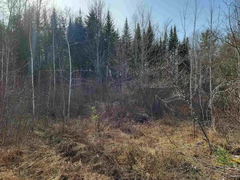 157 Hazen Drive Bethlehem NH 03574