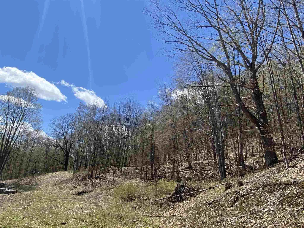 42 Advent Hill Road Hartland VT 05048