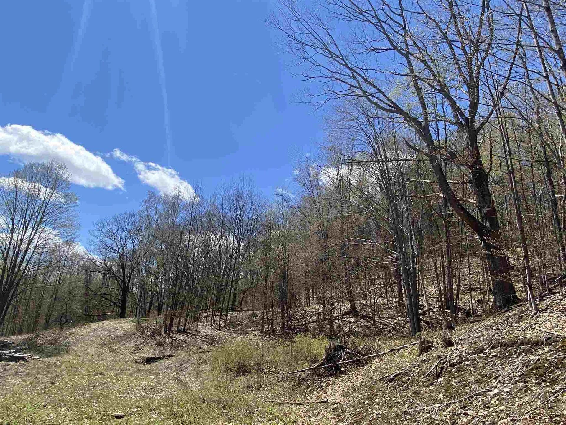 42 Advent Hill Road Hartland VT 05048