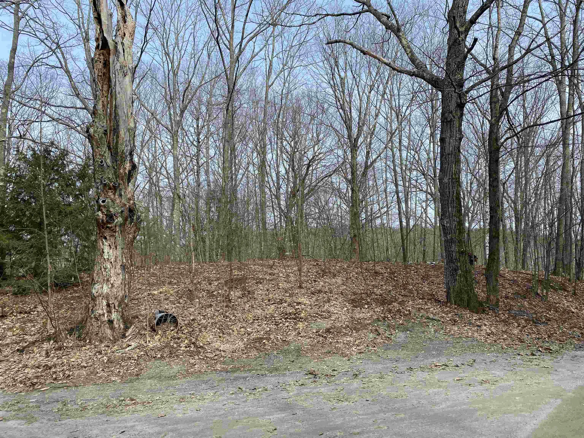 42 Advent Hill Road Hartland VT 05048