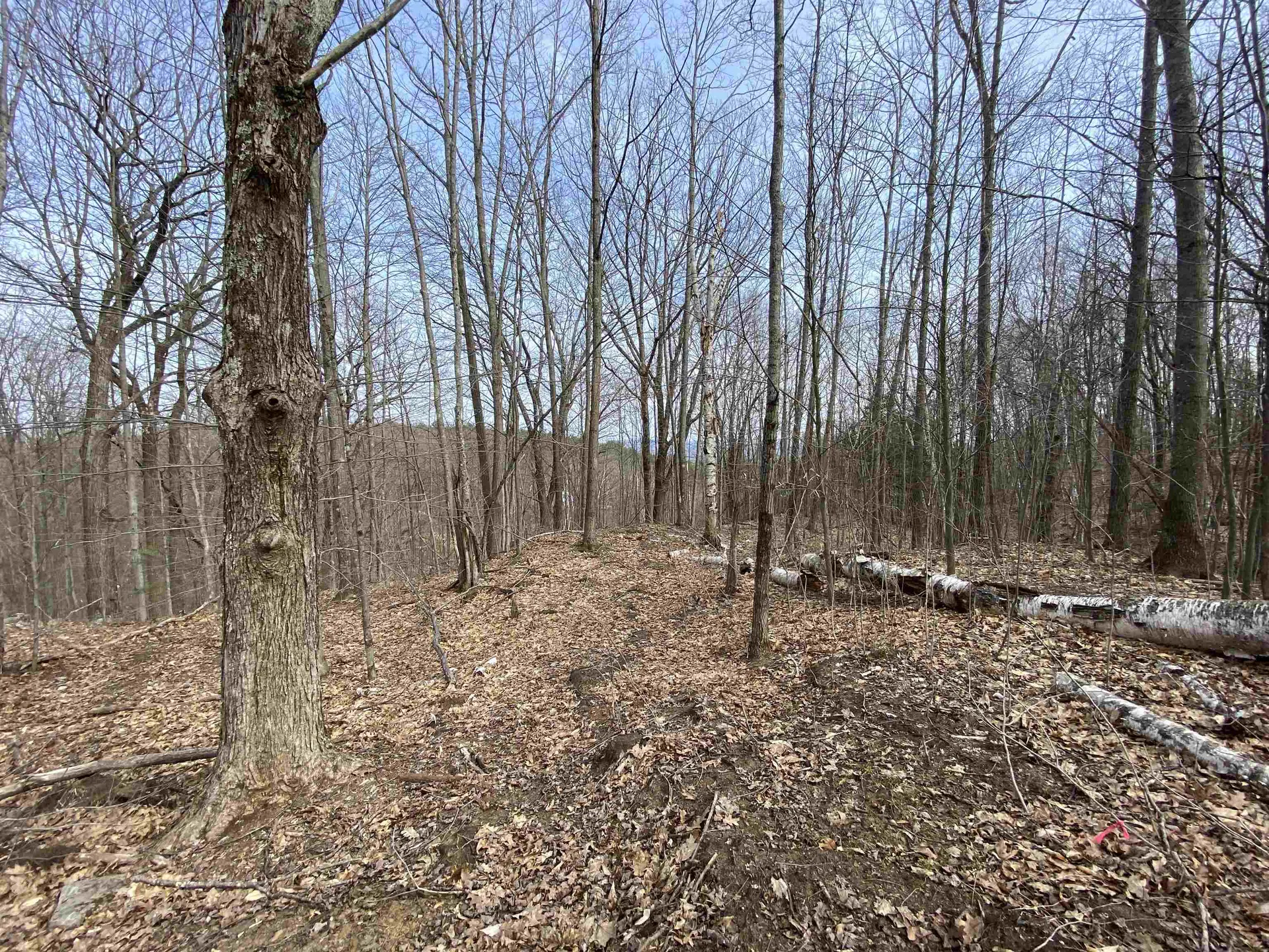 42 Advent Hill Road Hartland VT 05048