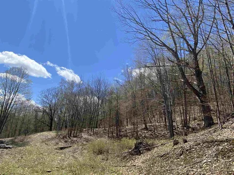 42 Advent Hill Road Hartland VT 05048