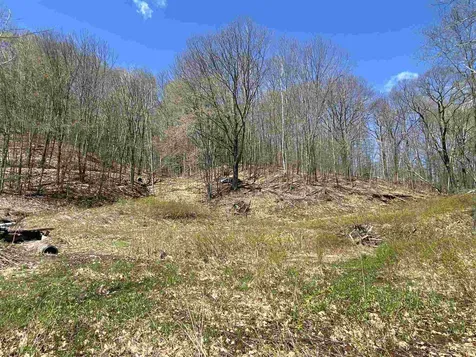 42 Advent Hill Road Hartland VT 05048