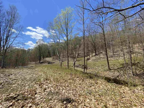 42 Advent Hill Road Hartland VT 05048