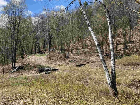 42 Advent Hill Road Hartland VT 05048