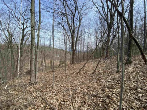 42 Advent Hill Road Hartland VT 05048