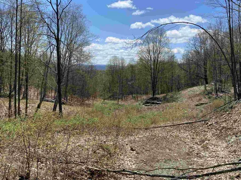 42 Advent Hill Road Hartland VT 05048