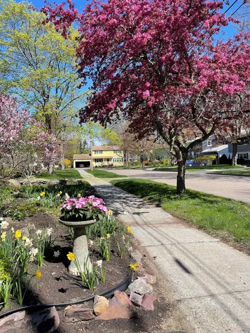 21 Roseade Parkway Burlington VT 05408