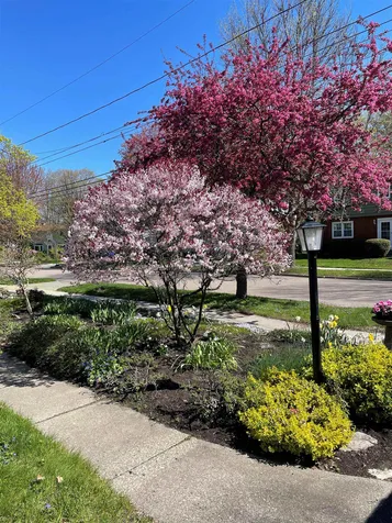 21 Roseade Parkway Burlington VT 05408