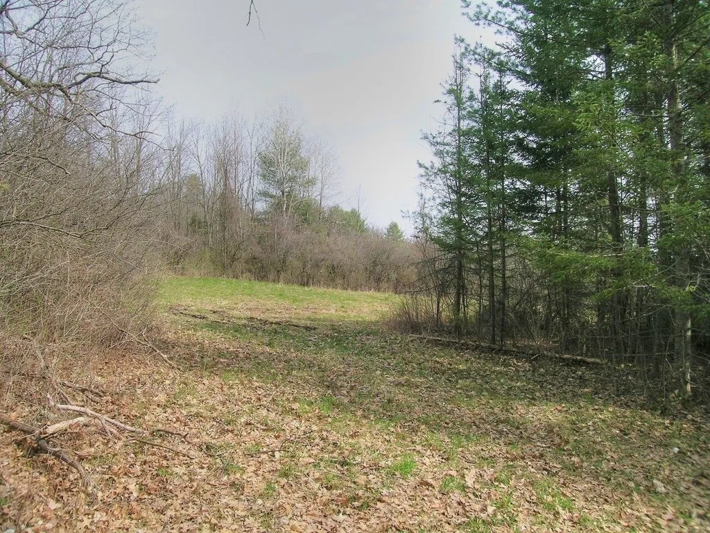 Lot #4 Mount Philo Road Charlotte VT 05445