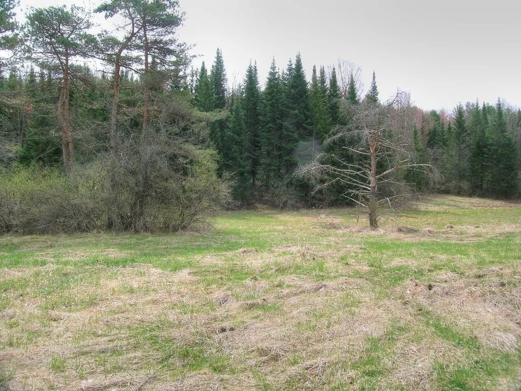 Lot #4 Mount Philo Road Charlotte VT 05445