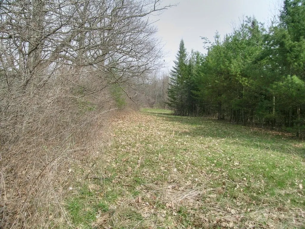 Lot #4 Mount Philo Road Charlotte VT 05445