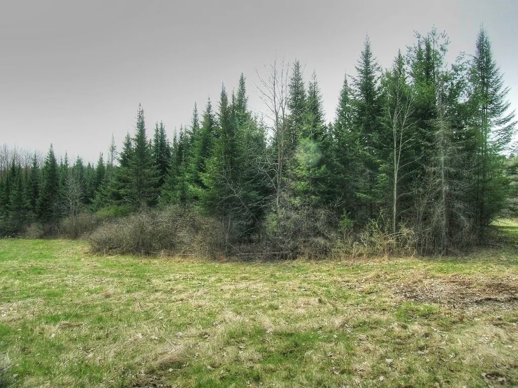Lot #4 Mount Philo Road Charlotte VT 05445