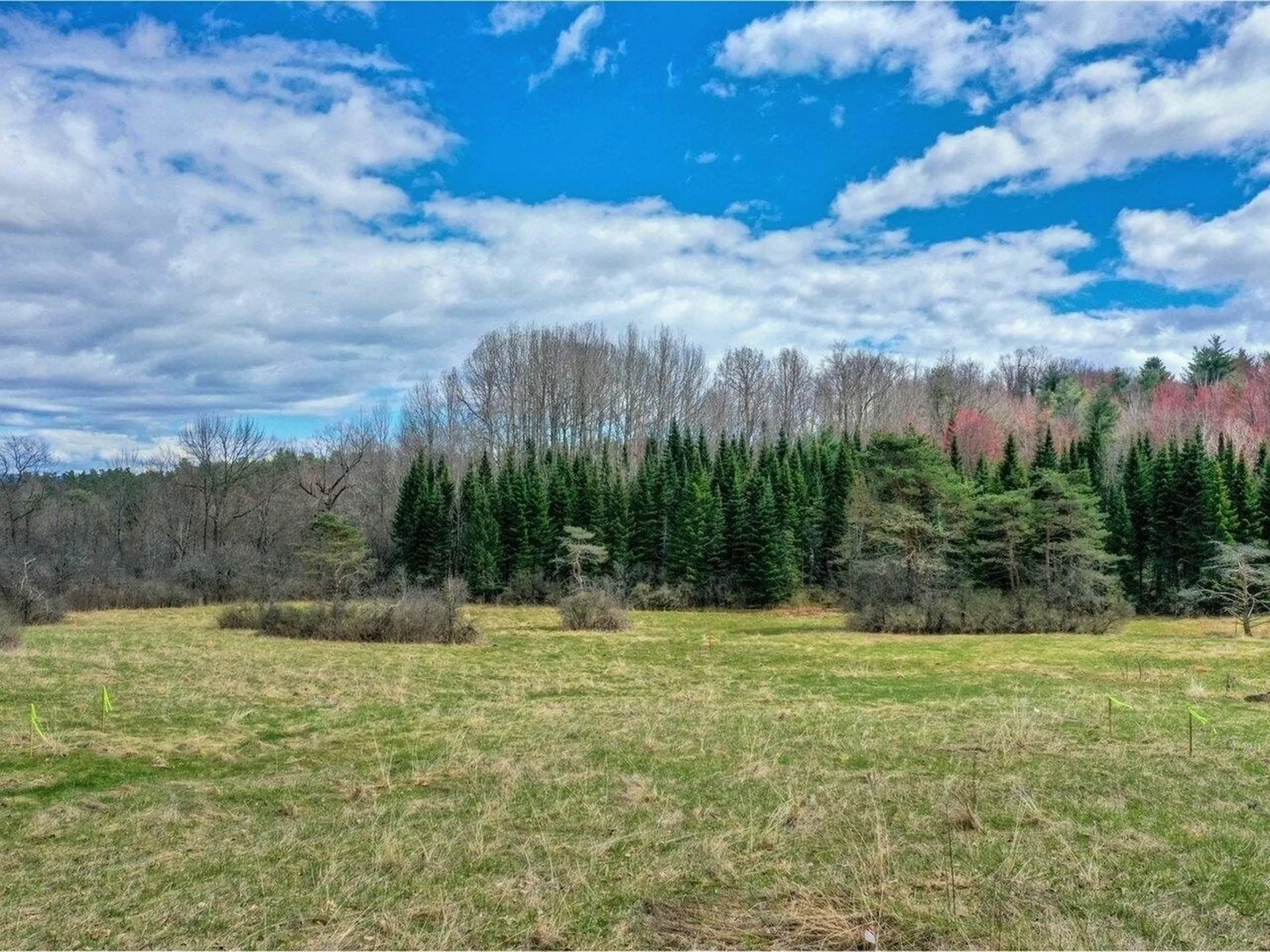 Lot #4 Mount Philo Road Charlotte VT 05445