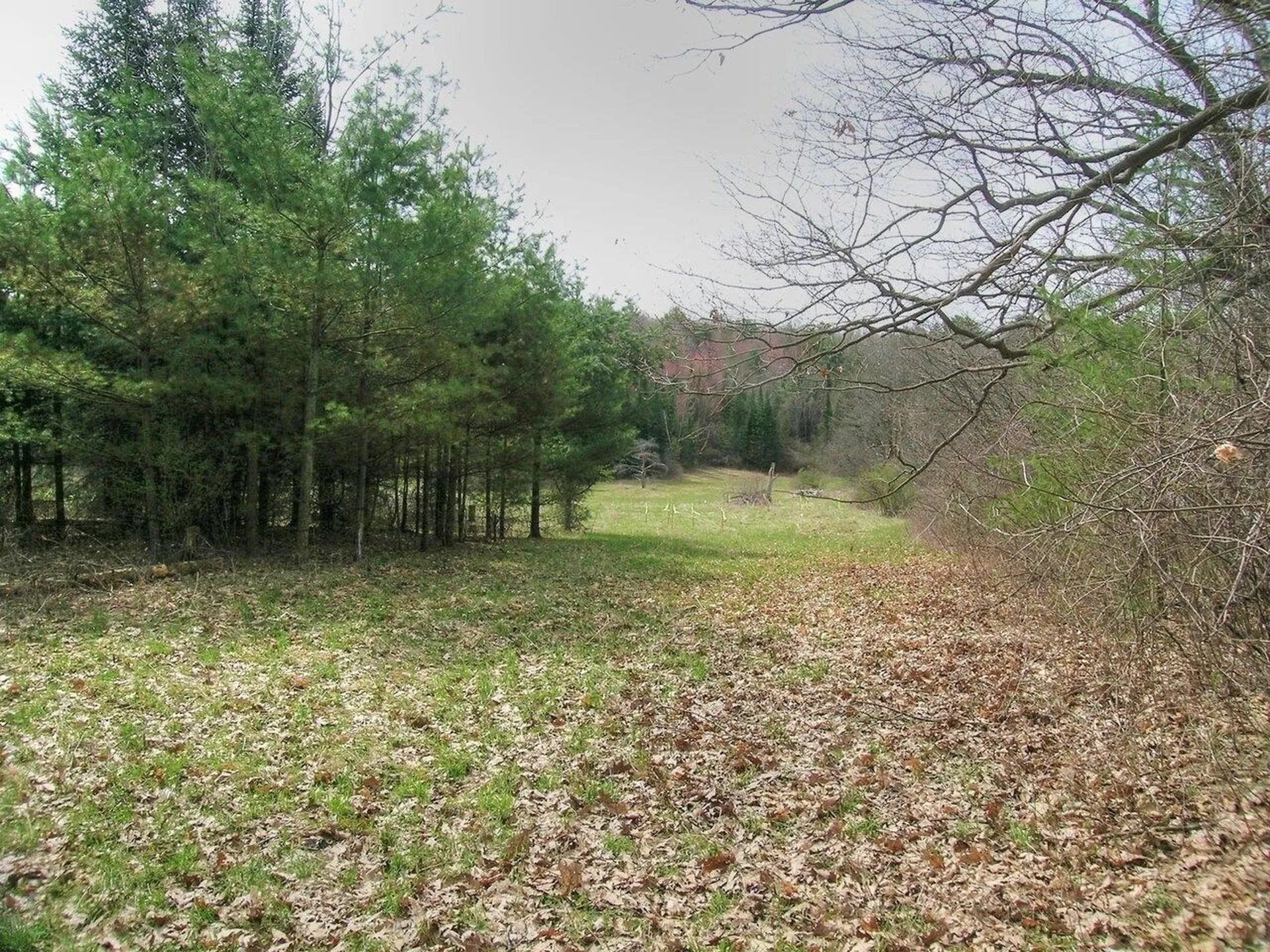 Lot #4 Mount Philo Road Charlotte VT 05445