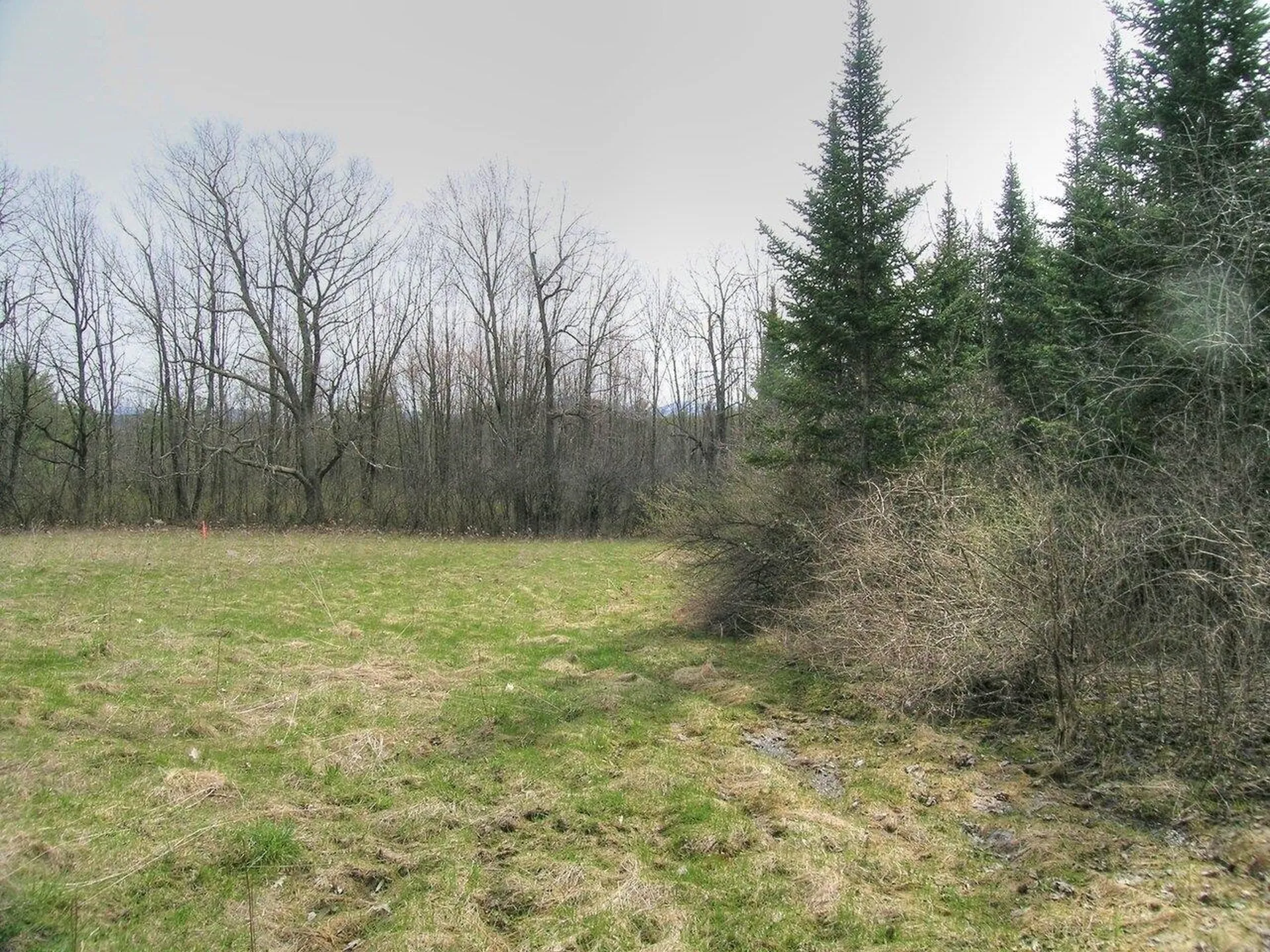 Lot #4 Mount Philo Road Charlotte VT 05445