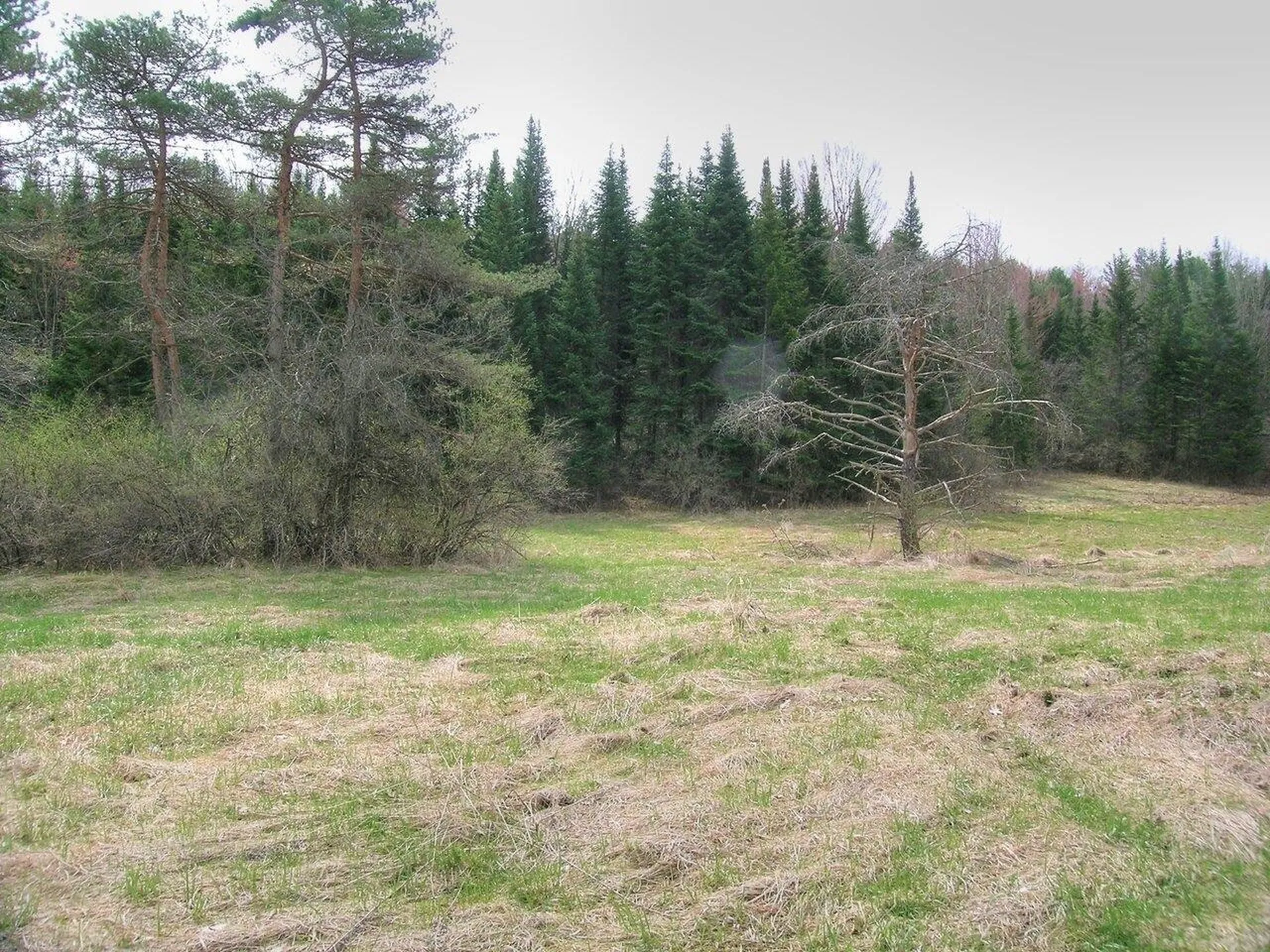 Lot #4 Mount Philo Road Charlotte VT 05445
